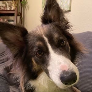 Meet your Posher, Jami